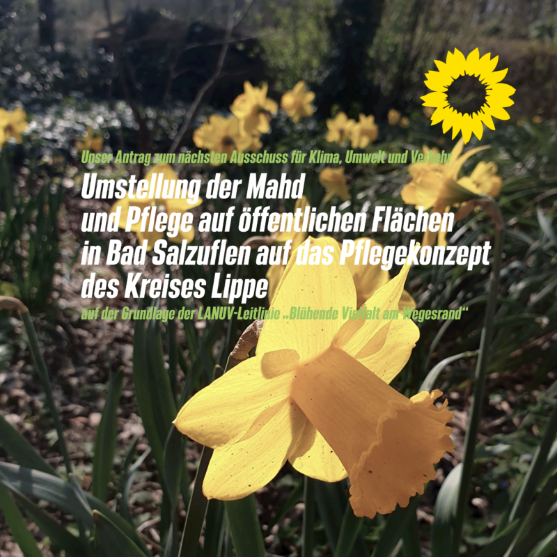 Unser Antrag zur Umstellung der Mahd Grüne Bad Salzuflen