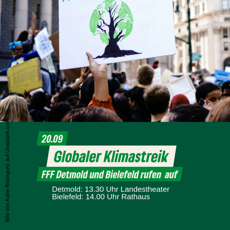 Globaler Klimastreik am 20.09